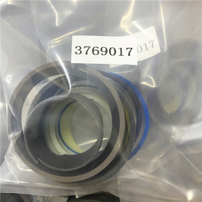3769017 7X2825 3611131 3769011 Hydraulische Uitrustingen van de Cilinderverbinding 3769018 120H